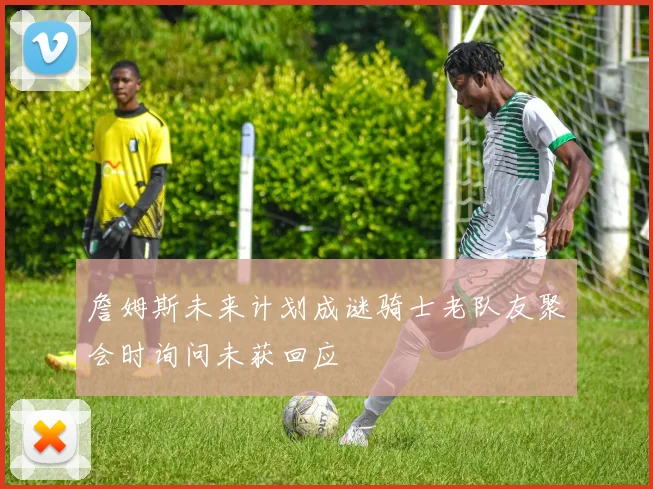 詹姆斯未来计划成谜骑士老队友聚会时询问未获回应